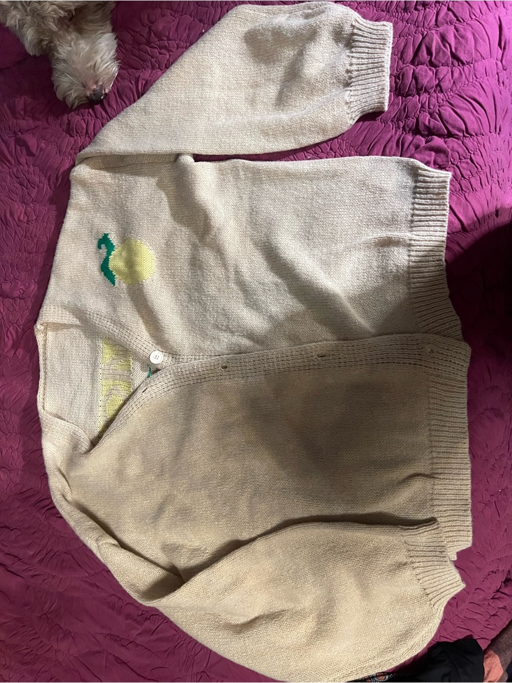 Source Unknown Cream Cardigan with Lemon Accent